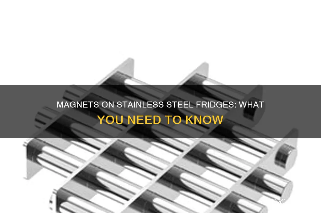 can you put a magnet on a stainless steel refrigerator