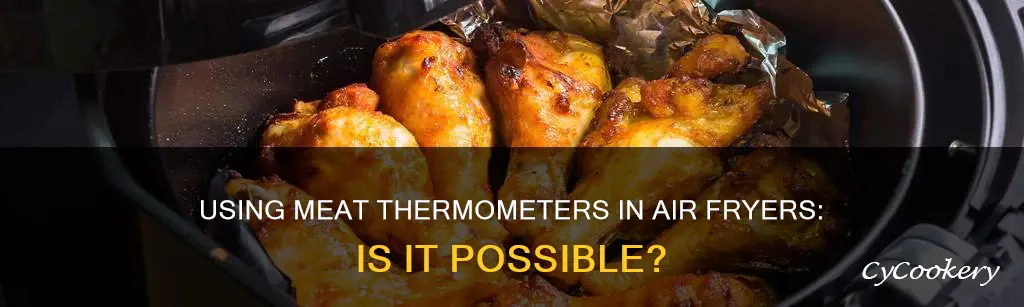 can you put a meat thermometer in an air fryer