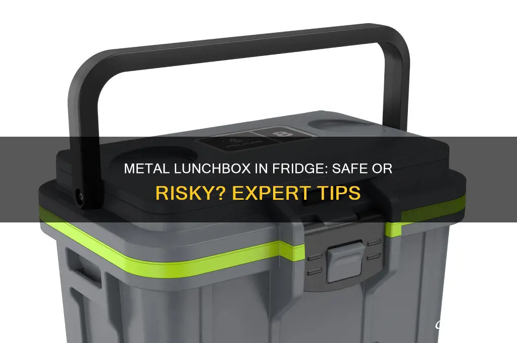 can you put a metal lunchbox in the refrigerator