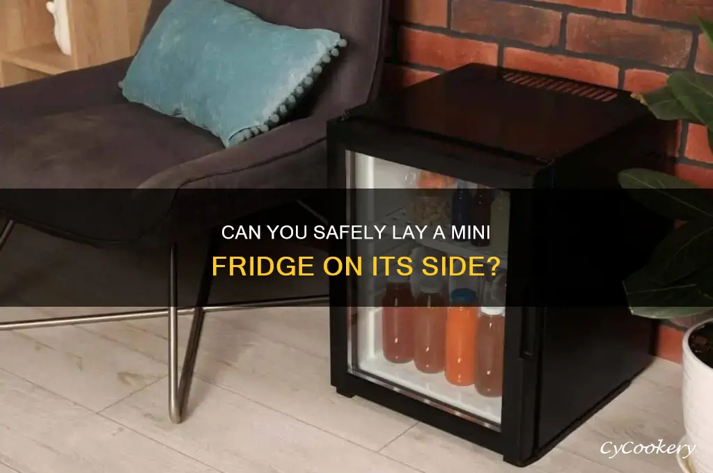can you put a mini refrigerator on its side