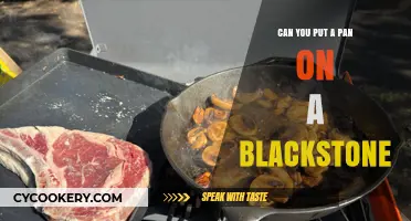 Blackstone Griddle: Can You Use Regular Pans?