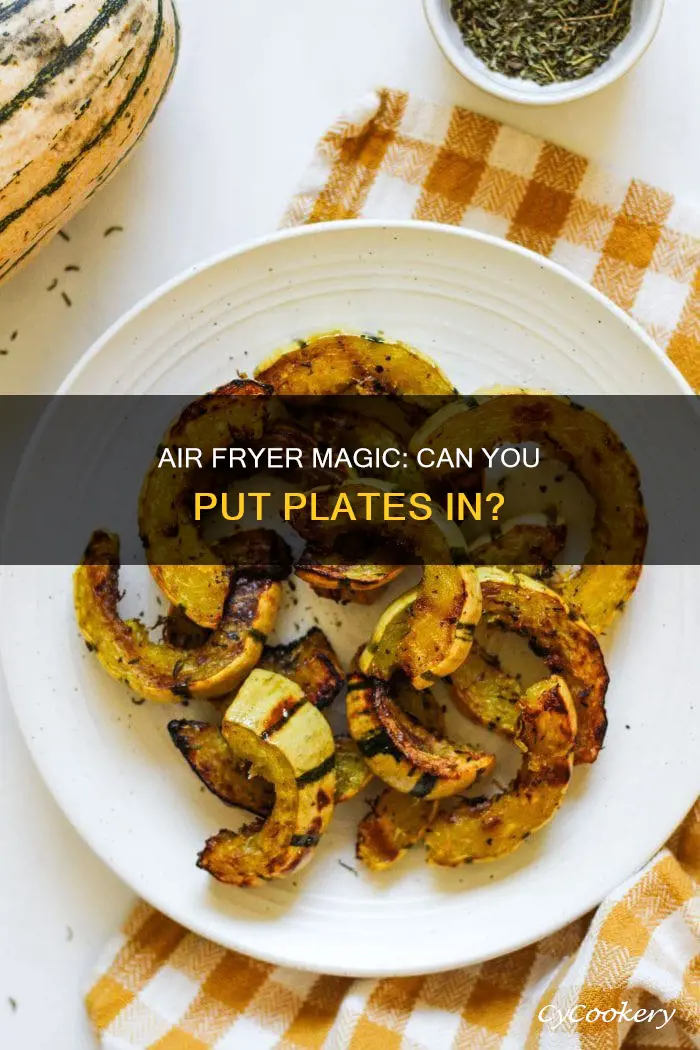 can you put a plate in the air fryer