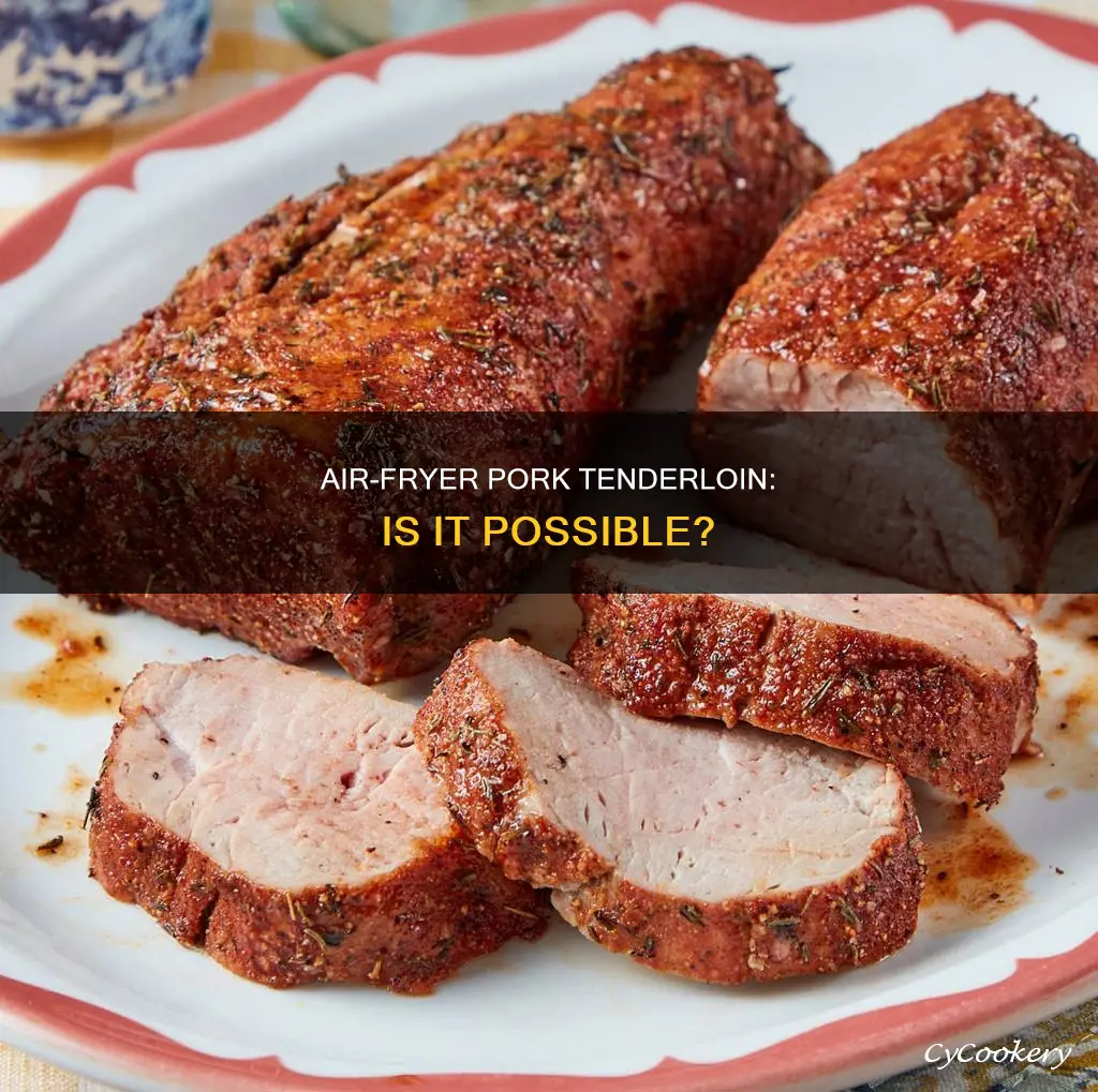 can you put a pork tenderloin in an air fryer