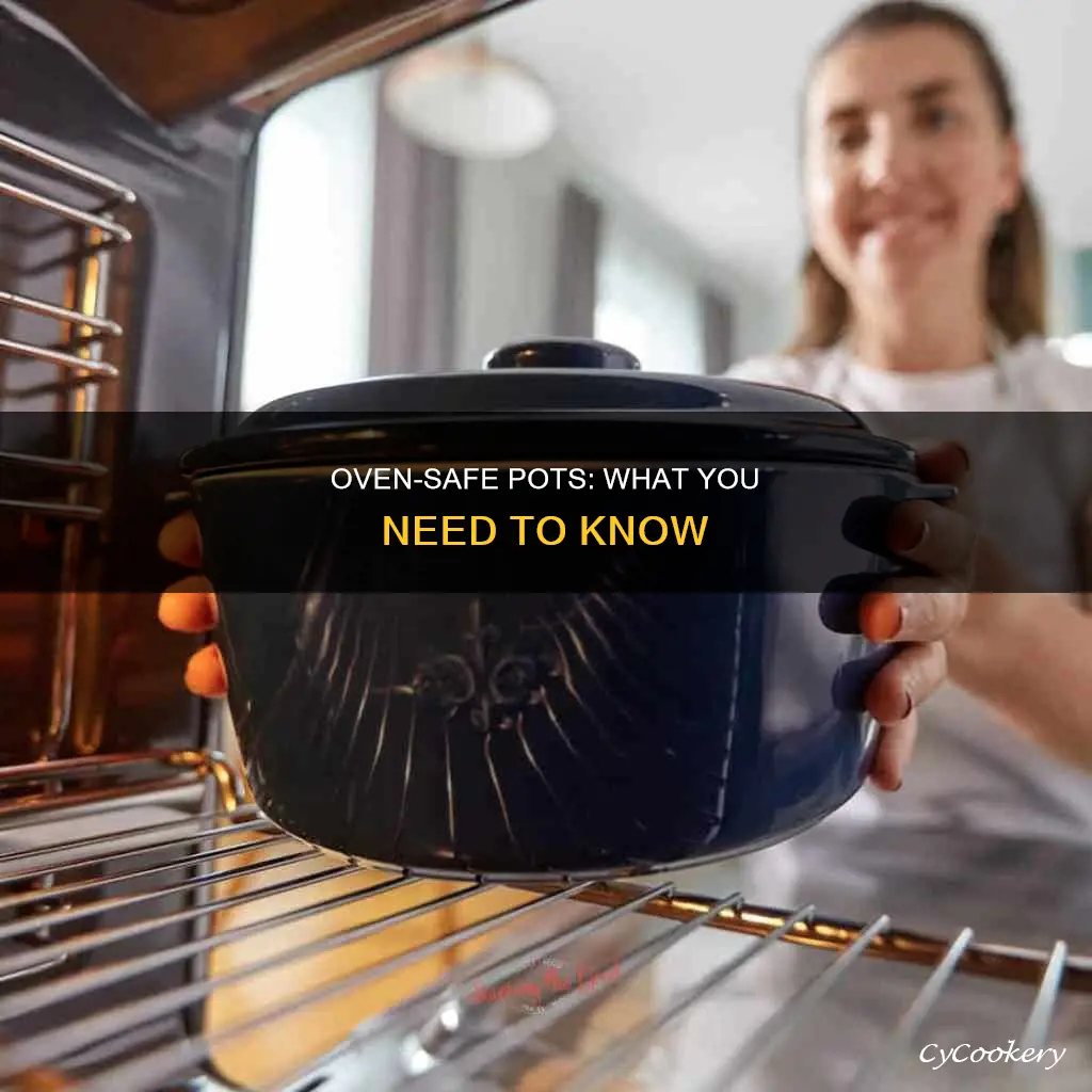 can you put a pot in the oven