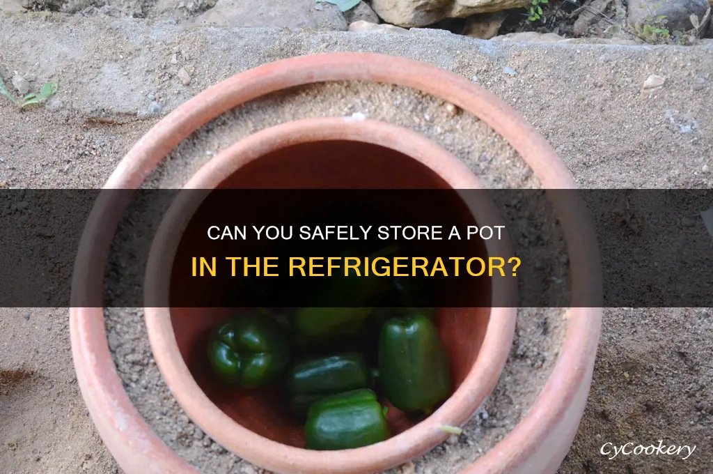 can you put a pot in the refrigerator