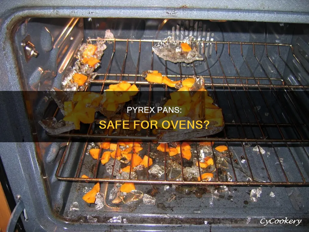 can you put a pyrex pan in the oven