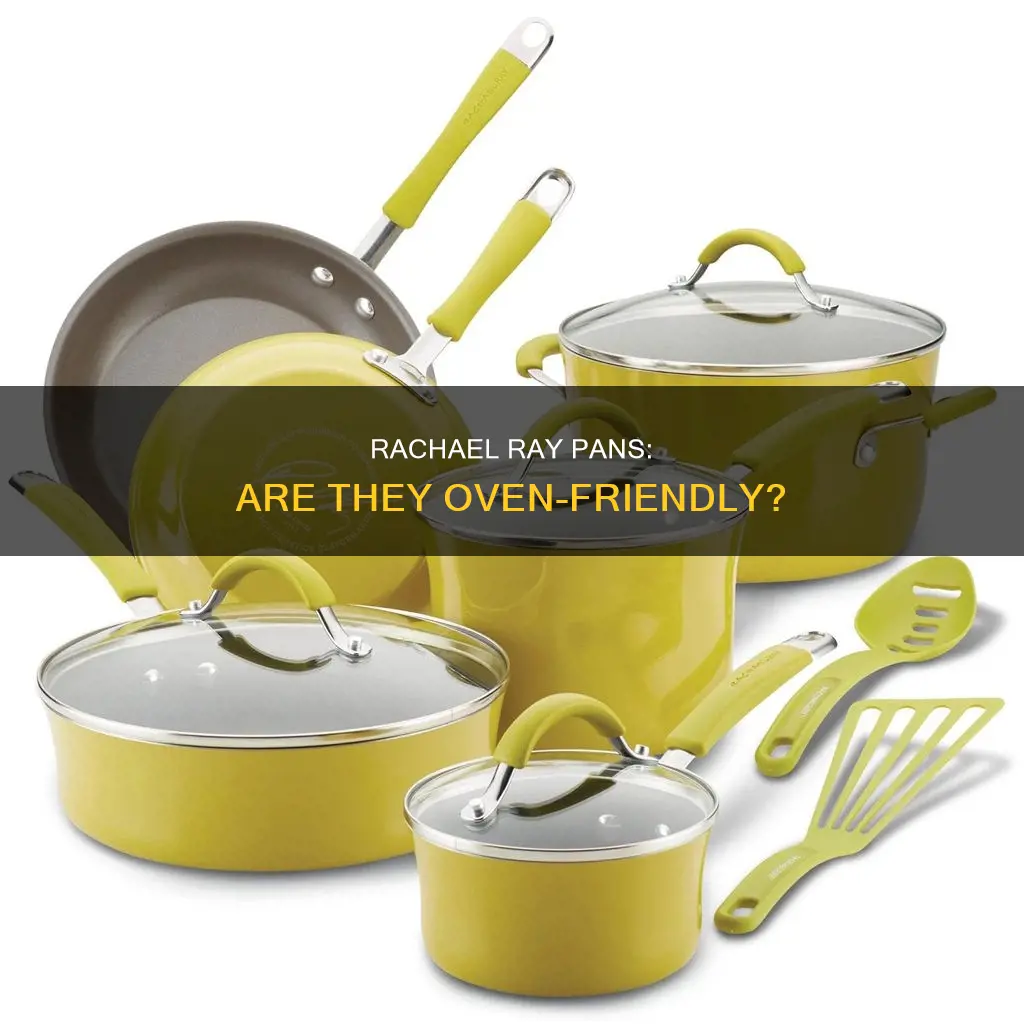 can you put a rachael ray pan in the oven