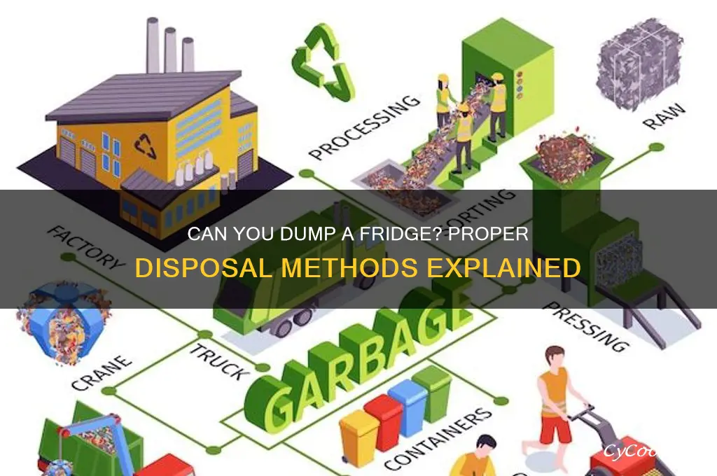can you put a refrigerator in a dumpster