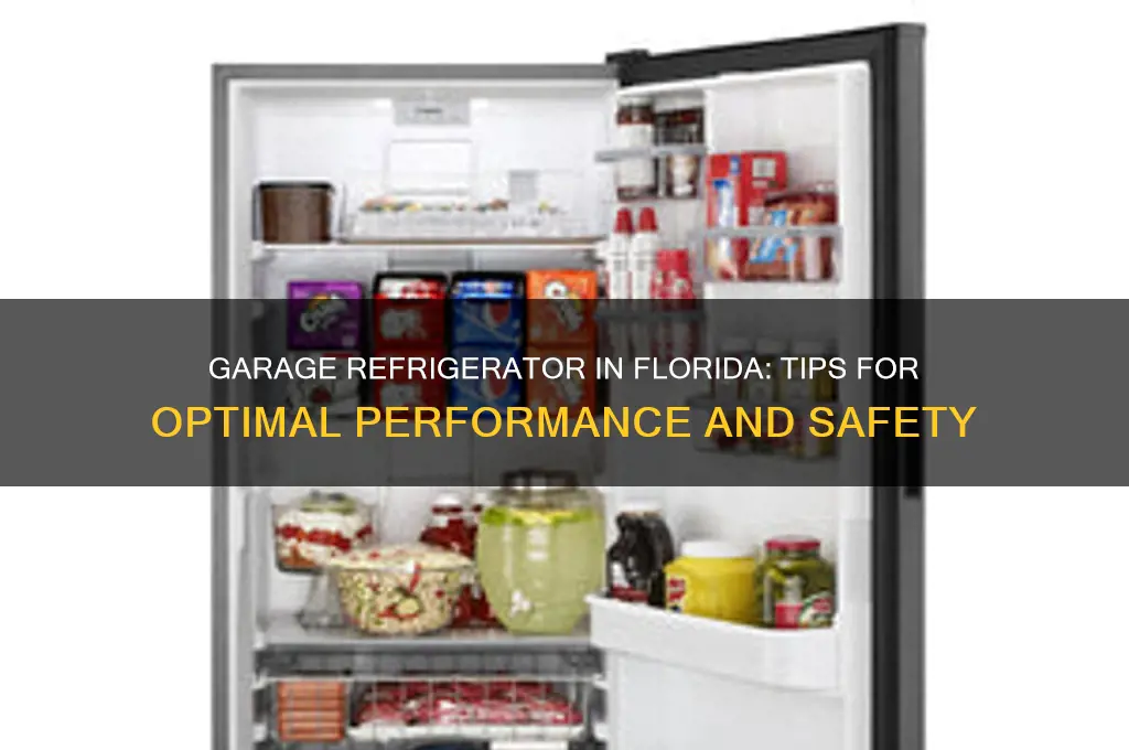 can you put a refrigerator in the garage in florida