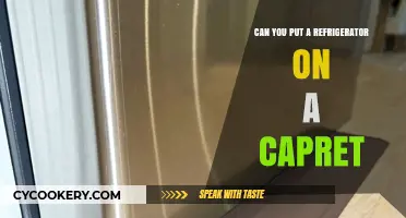Can You Safely Place a Refrigerator on Carpet? Expert Tips