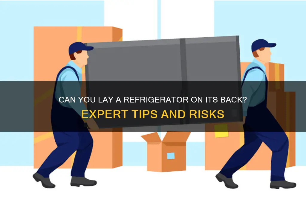 can you put a refrigerator on its back