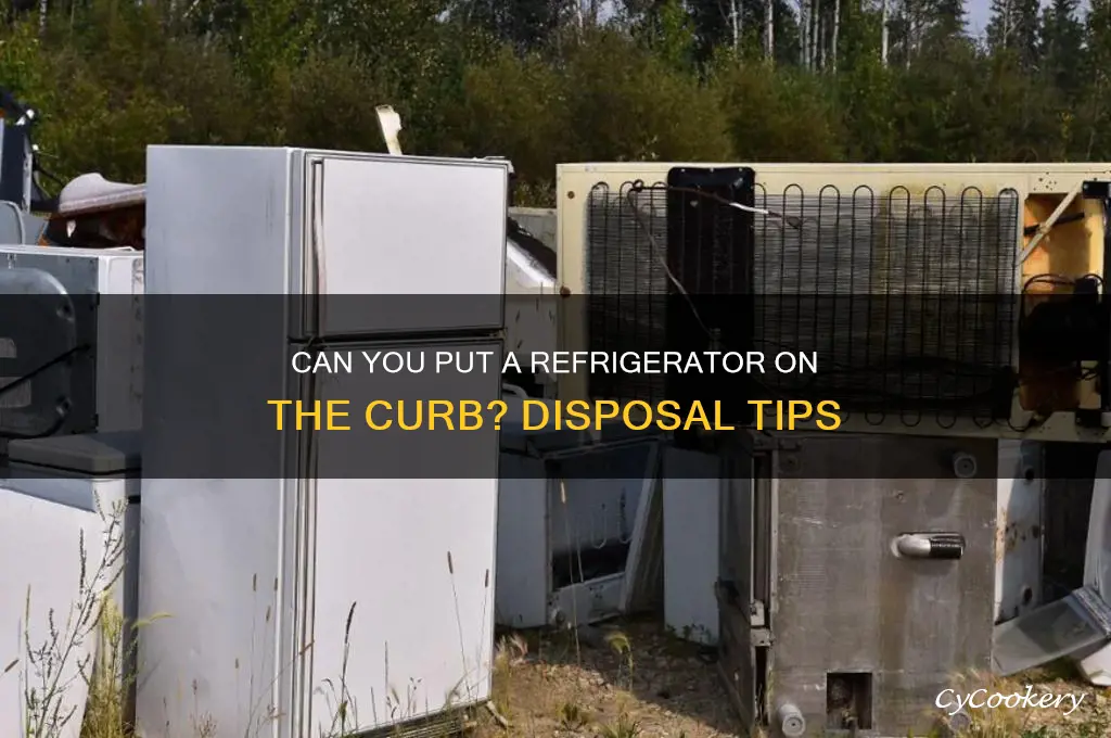 can you put a refrigerator on the curb