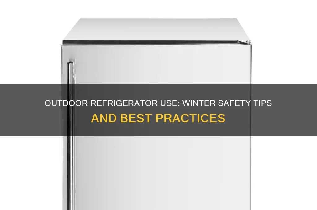 can you put a refrigerator outside in the winter