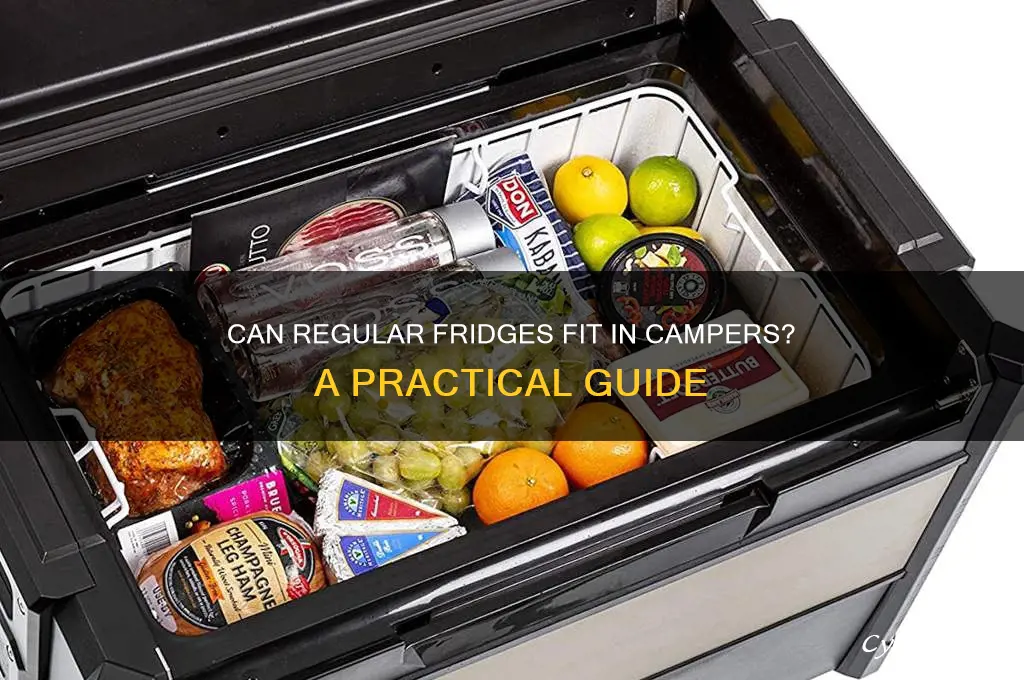 can you put a regular refrigerator in a camper