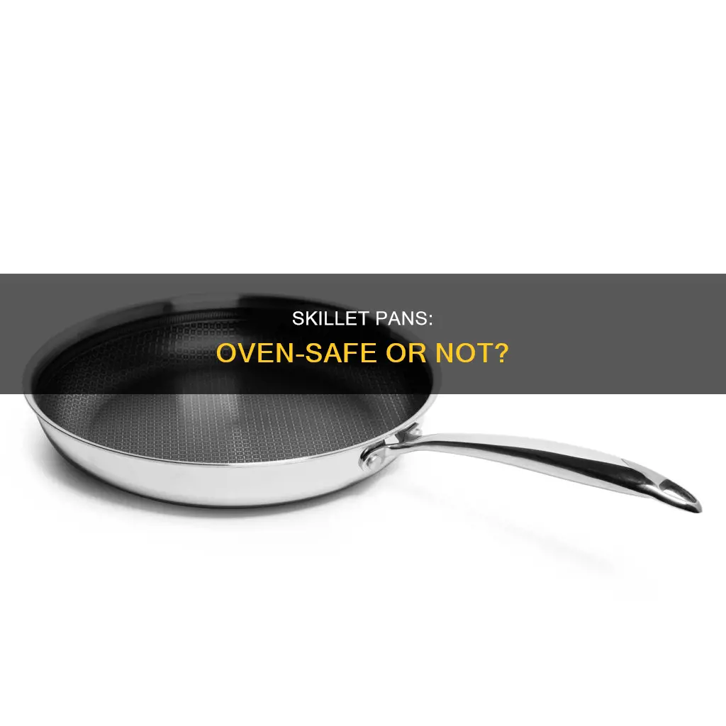 can you put a skillet pan in the oven