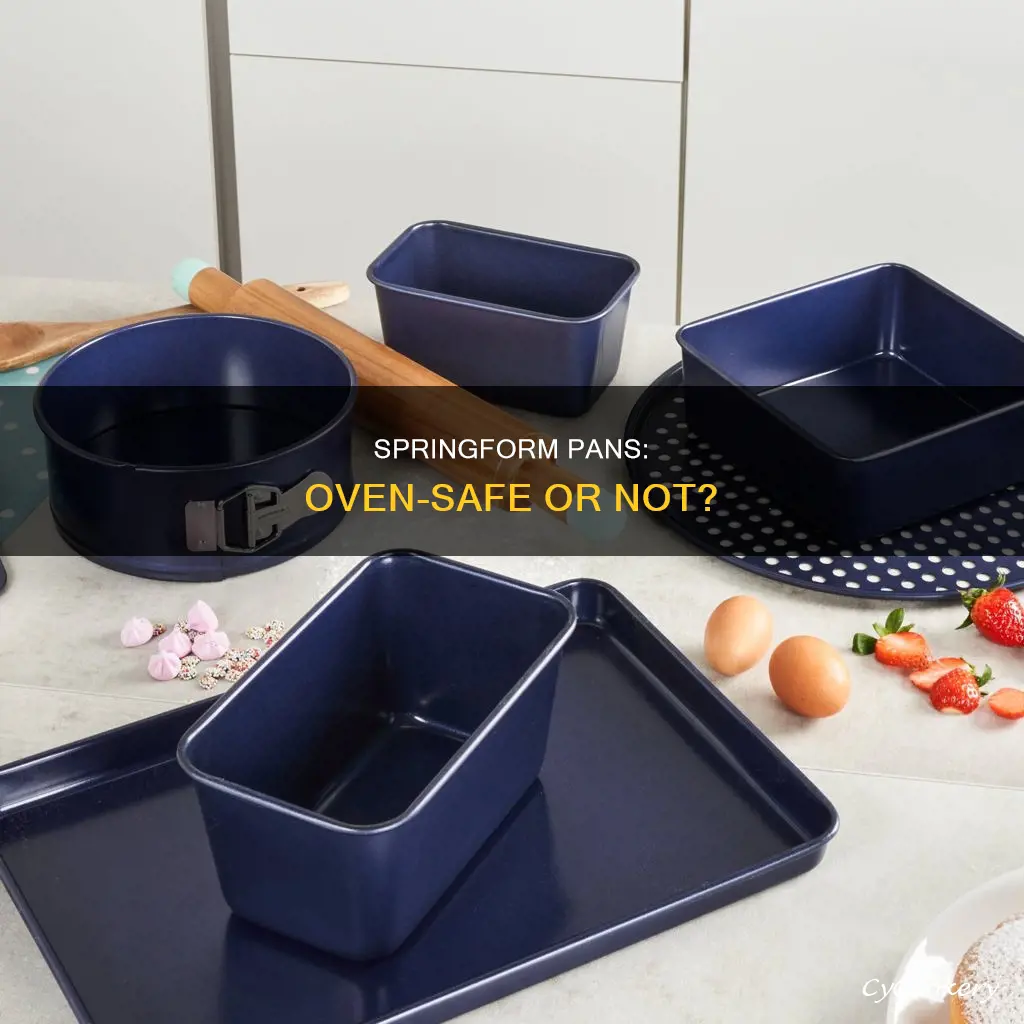 can you put a spring pan in pven