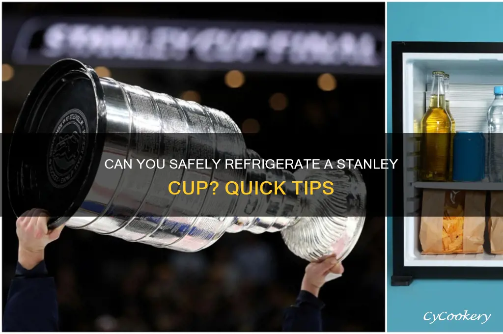can you put a stanley cup in the refrigerator