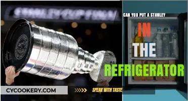 Can You Safely Chill a Stanley Cup in the Fridge?