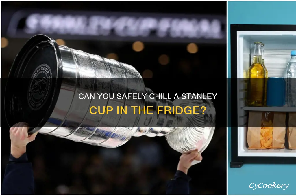 can you put a stanley in the refrigerator