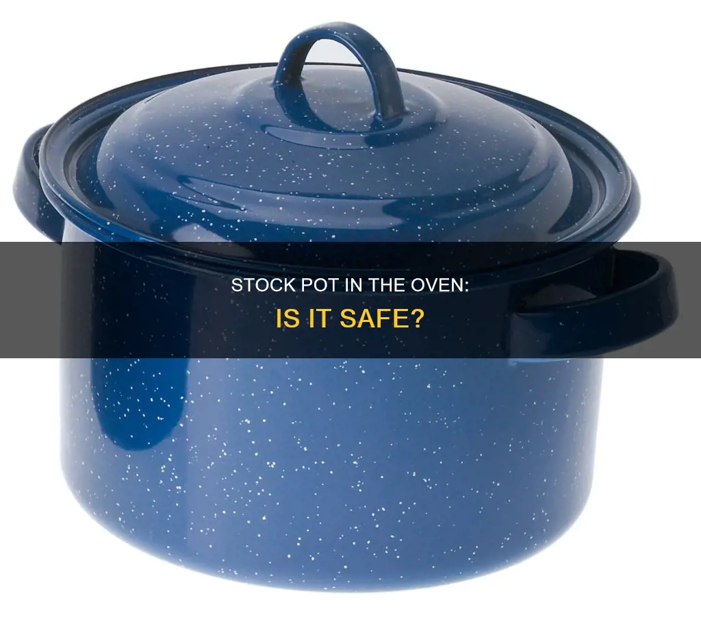 can you put a stock pot in the oven