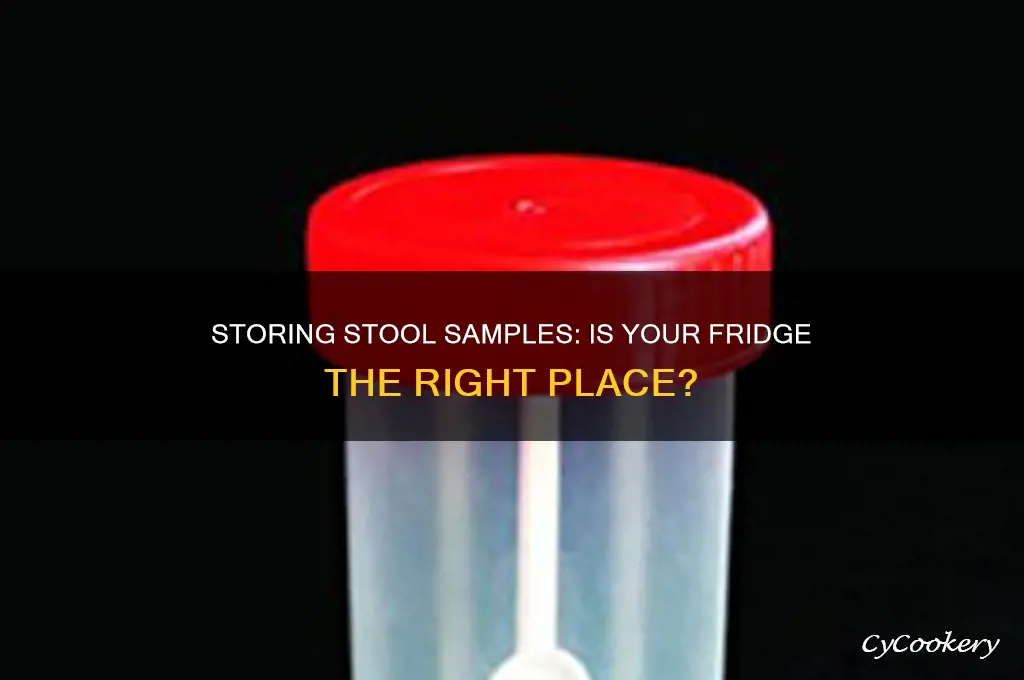 can you put a stool sample in the refrigerator