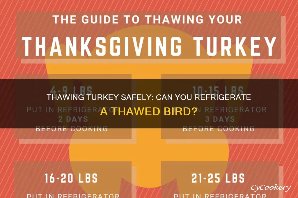 can you put a thaw turkey in the refrigerator
