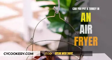 Air-Fryer Turkey: Is It Possible?