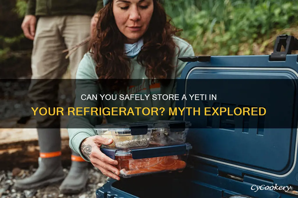 can you put a yeti in the refrigerator