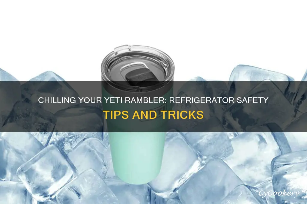 can you put a yeti rambler in the refrigerator