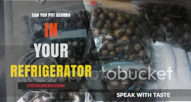 Storing Acorns in Your Fridge: Benefits, Risks, and Best Practices