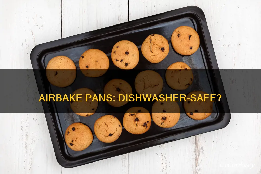 can you put airbake pans in the dishwasher