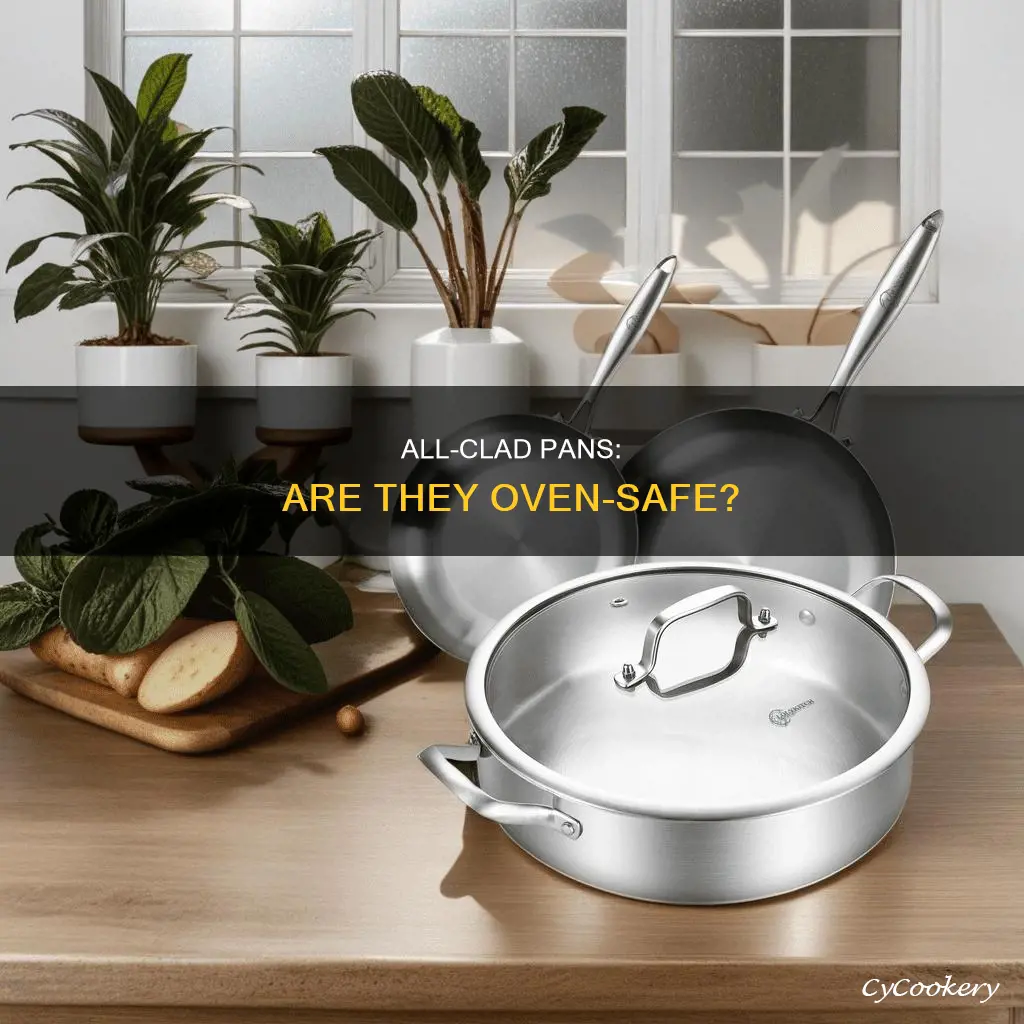 can you put all clad pans in the oven