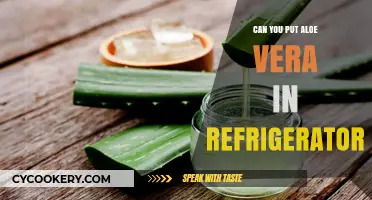 Chilling Aloe Vera: Benefits and Tips for Refrigerating Your Plant Gel