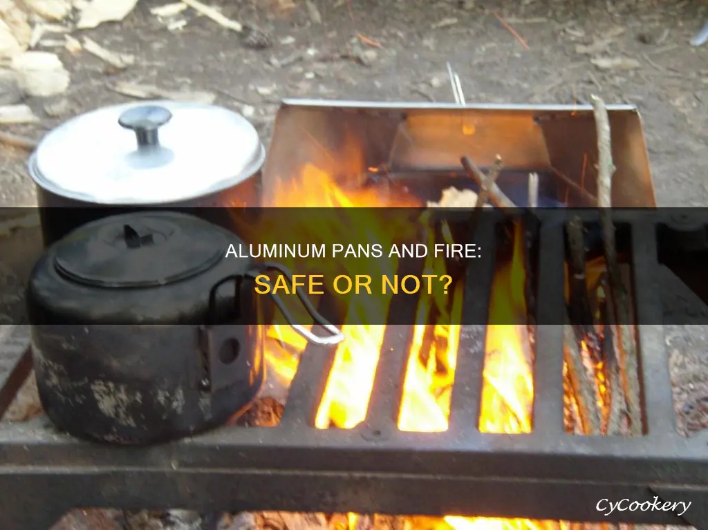 can you put aluminum pan on fire