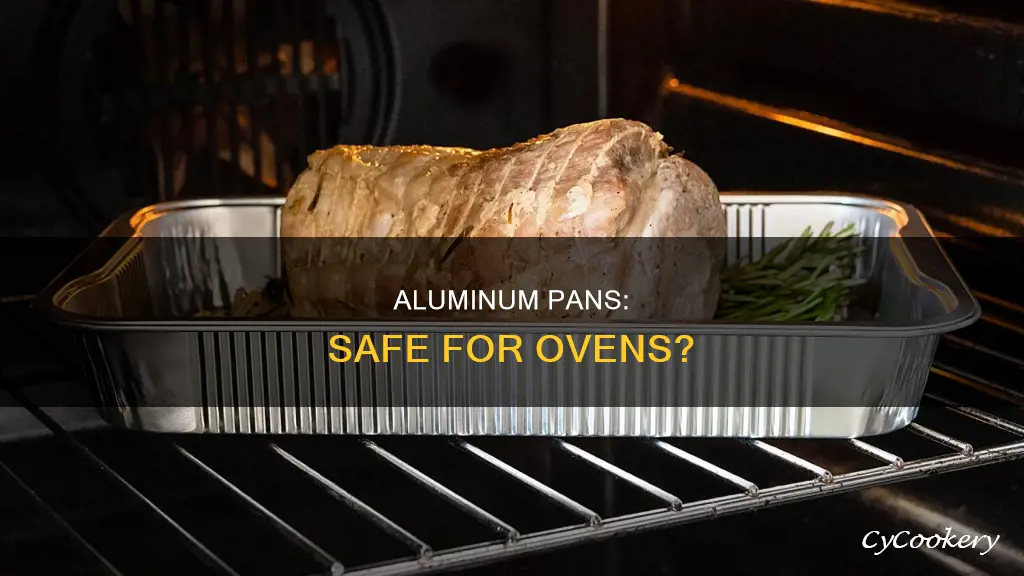 can you put an aluminum pan in the oven