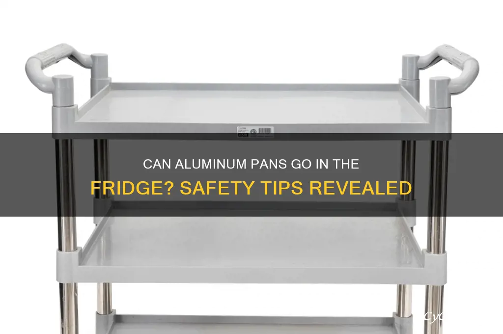 can you put an aluminum pan in the refrigerator