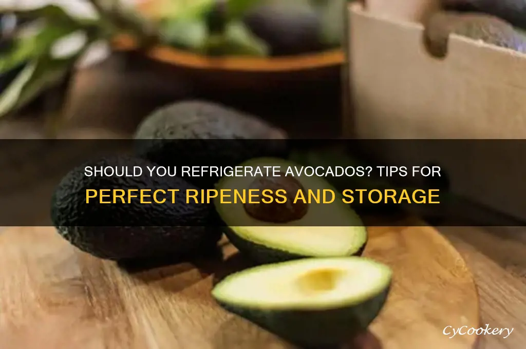can you put an avocado in the refrigerator