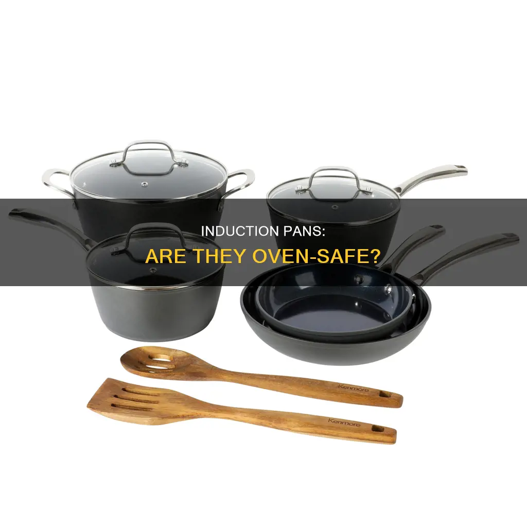 can you put an induction pan in the oven