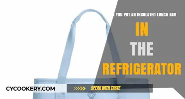 Can Insulated Lunch Bags Go in the Fridge? Expert Tips