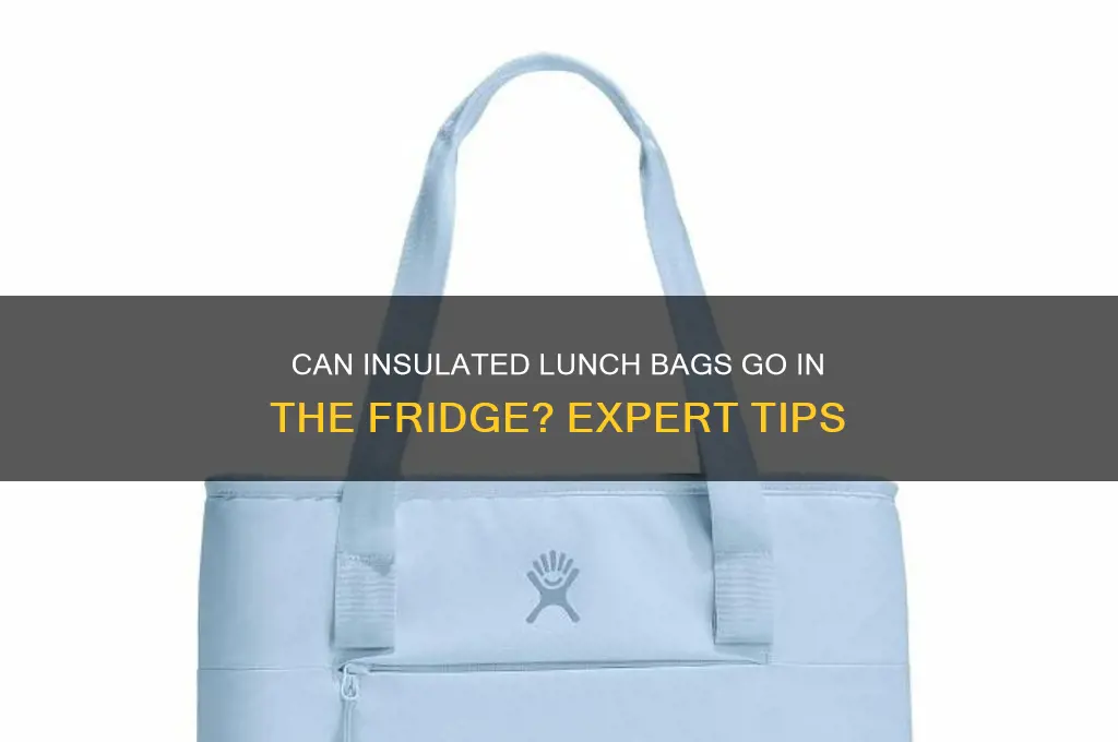 can you put an insulated lunch bag in the refrigerator