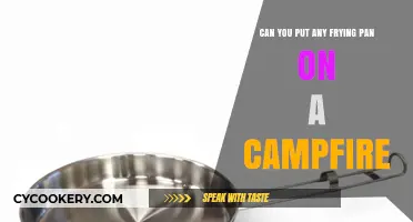 Campfire Cooking: Choosing the Right Frying Pan