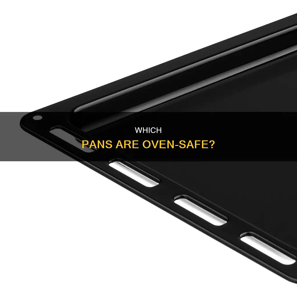 can you put any pan in theoven