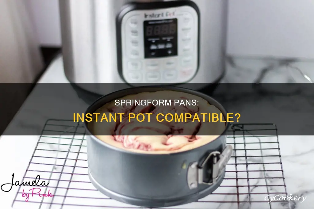 can you put any springform pan in an instant pot