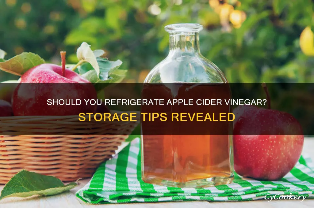 can you put apple cider vinegar in the refrigerator