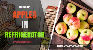 Should You Refrigerate Apples? Tips for Freshness and Storage
