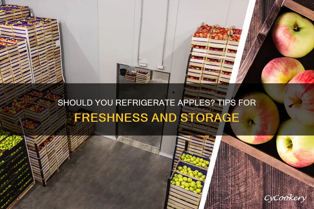 can you put apples in refrigerator