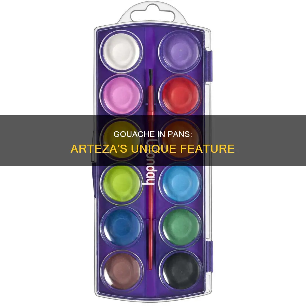 can you put arteza gouache in pans