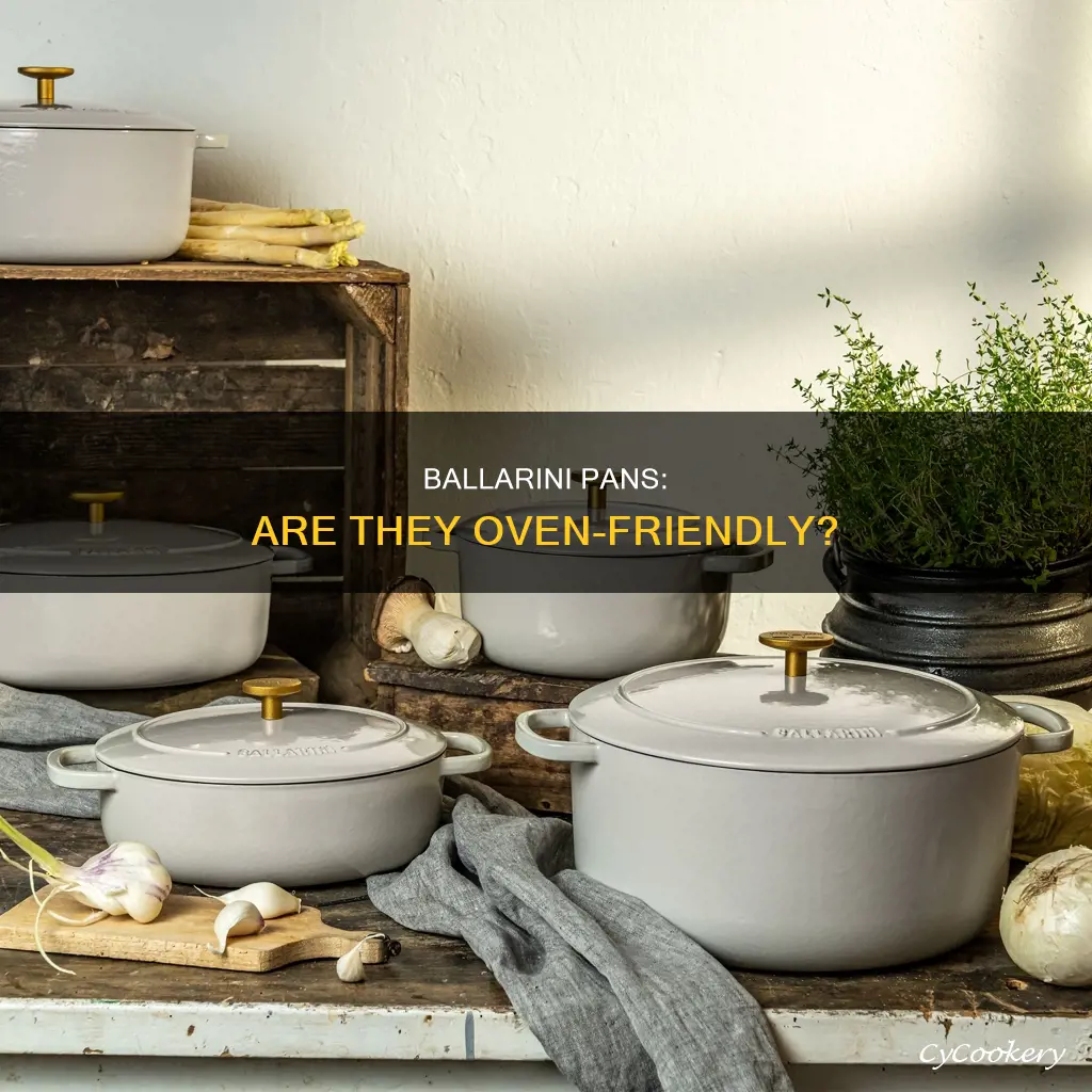 can you put ballarini pans in the oven