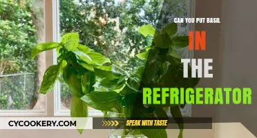 Refrigerating Basil: Tips to Keep Your Herb Fresh and Flavorful