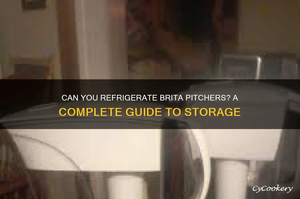 can you put brita in the refrigerator